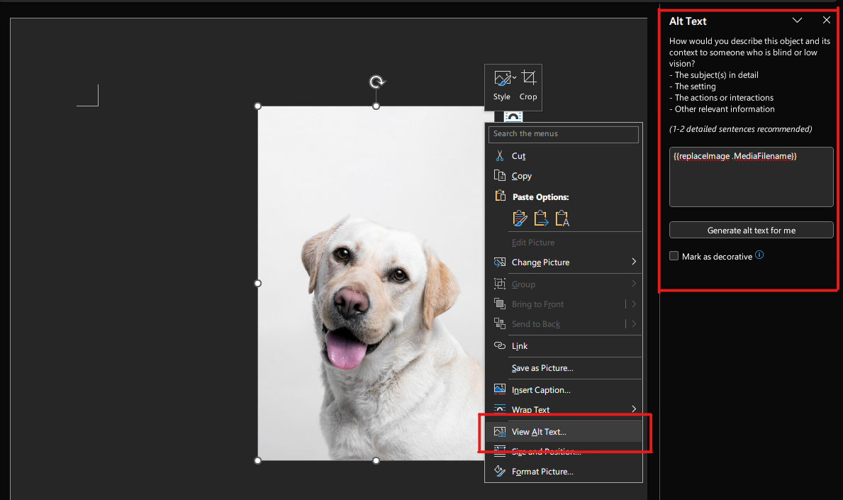 Image replacement input file