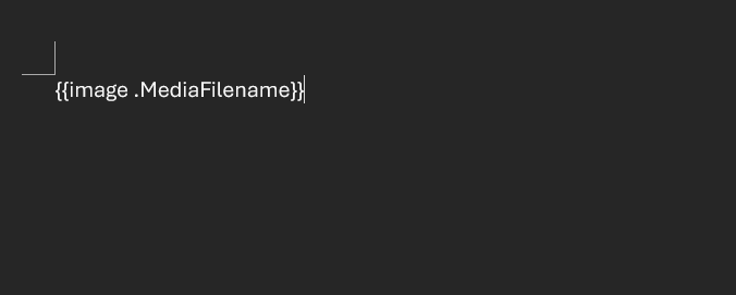Image insertion input file